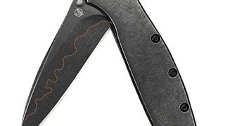 Kershaw Leek Pocket Knife, 3 Inch Composite Blackwash Blade...