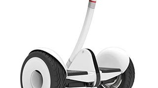 Segway Ninebot S Smart Self-Balancing Electric Scooter,...