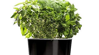 AeroGarden Harvest Elite 360 Indoor Garden Hydroponic System...