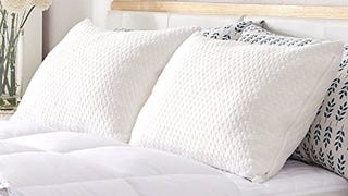 Sable CertiPUR-US Pillows