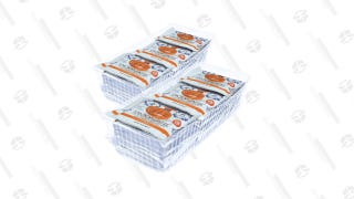 Daelmans Soft Toasted Stroopwafels 48-Pack