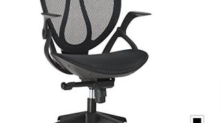 LANGRIA Mid-Back Mesh Computer Desk Chair Executive Adjustable...