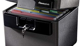 SentrySafe Black Fireproof and Waterproof Safe, File Folder...