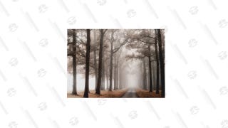Misty Road Wrapped Canvas