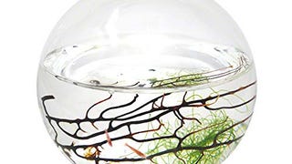 Ecosphere Small Sphere