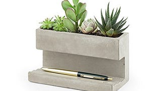 Kikkerland Concrete Desktop Planter, Large (PL02-L)