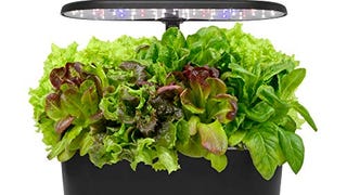 AeroGarden Bounty Basic, Black