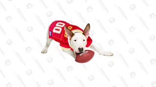 NFL Dog & Cat Mesh Jersey