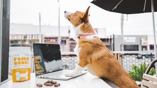 FOMO Bones Dog Treats