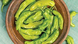 Burpee Dragon Roll Hot Pepper Seeds 25 seeds