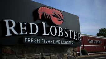 Image for Is This Bye-Bye Forever to Red Lobster's Cheddar Bay Biscuits?