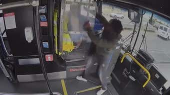 Image for WATCH: Angry Passenger Attacks Bus Driver, and the Crash Ain't Pretty