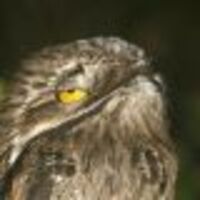 yetanotheruselessburner