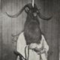 locustabortiontechnician