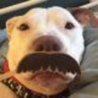 the-madwoman-of-chaillot