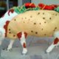 tacobellcow