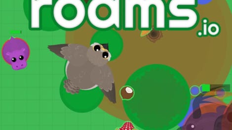 Roams.io