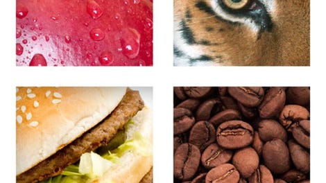 Close Up Pics - Fun Word Games