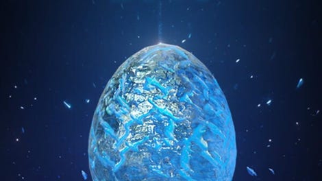 Duck Eggs