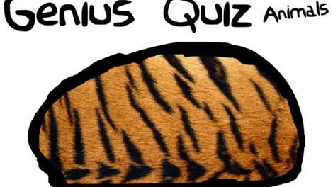 Genius Quiz Animals