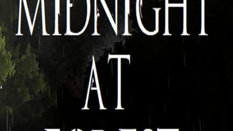 Midnight at Forest