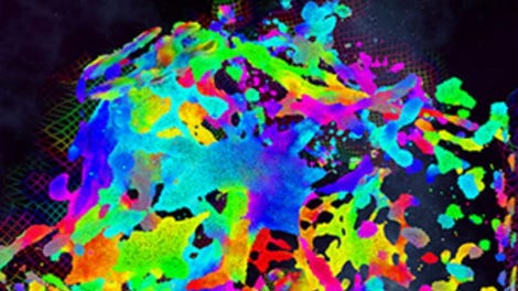 Chroma Lab