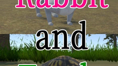 Rabbit and Turtle