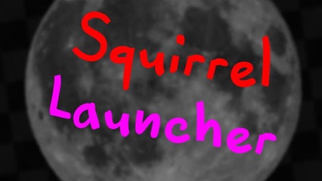 Squirrel Launcher