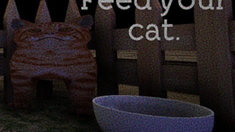 Feed your cat