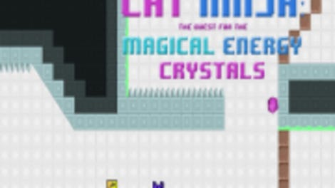 Cat Ninja: The Quest for Magic Energy Crystals