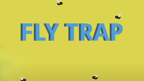 Fly Trap
