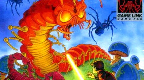 Centipede
