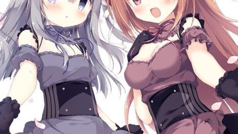 Amairo Chocolate