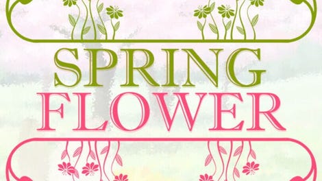 Spring Flower