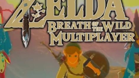 The Legend of Zelda: Breath of the Wild Multiplayer