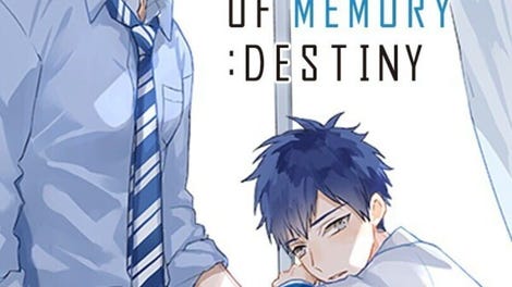 The Monster of Memory: Destiny