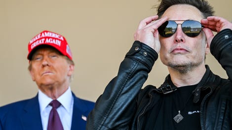 Image for Elon Musk says don't blame him for everything Trump is doing