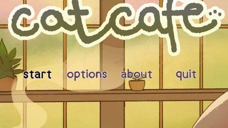 An Average Day at the Cat Café