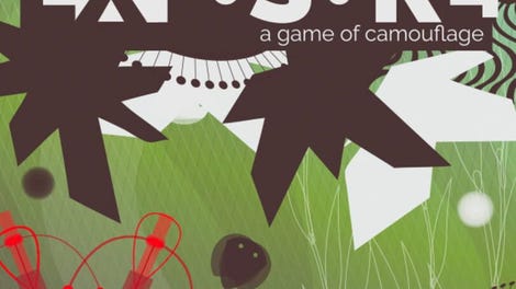 Exposure, a Game of Camouflage
