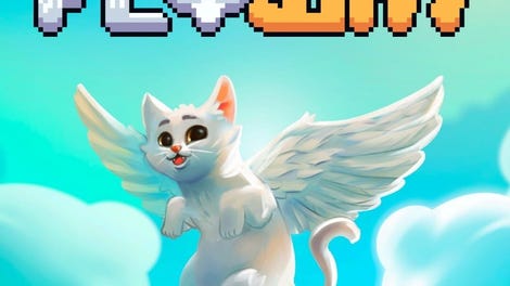 Fly Cat