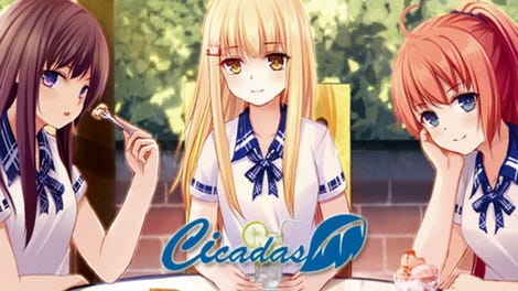 Cicadas