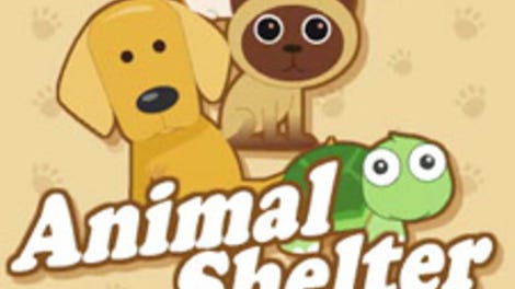 Animal Shelter