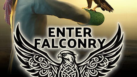 Enter Falconry