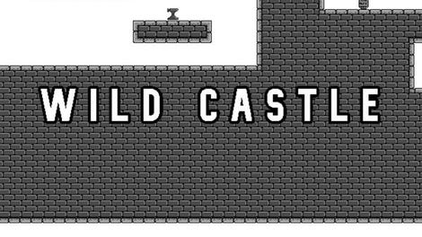 Wild Castle