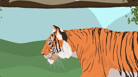 The Tiger T