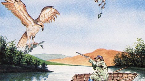 Flying Feathers
