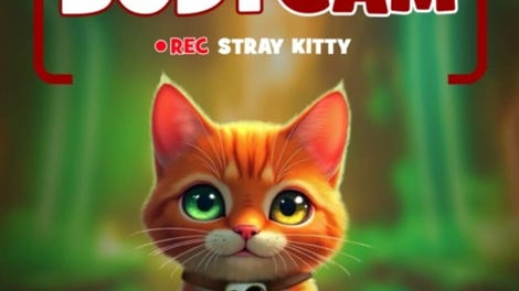 Bodycam Stray Kitty