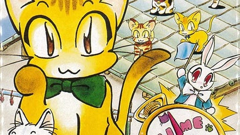 Asameshimae Nyanko