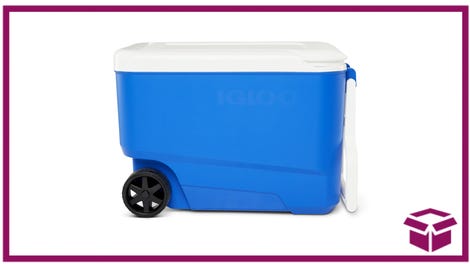 Keep Your Drinks Ice Cold With 29% off This 38 Qt. Igloo Cooler