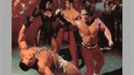 Pit-Fighter
